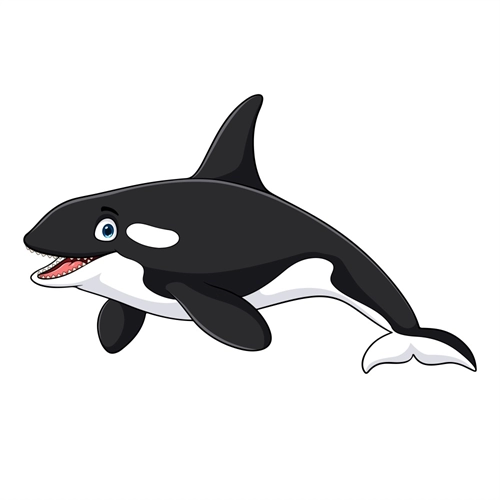 Under the Sea Theme Killer Whale Transparent Sticker